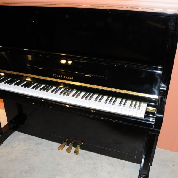 shaw piano baltimore serial number